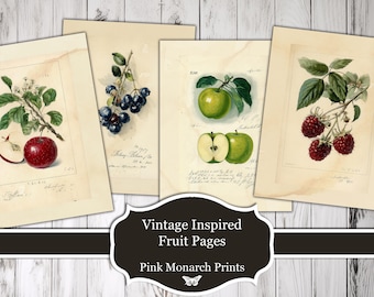 Vintage Inspired Fruit Pages, Printable Paper Prints (Digital Download)