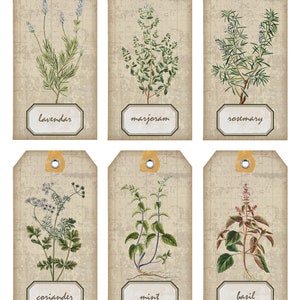 May include: Six vintage-style gift tags with illustrations of herbs. The tags are beige with a grid pattern and have a brown string attached. The herbs are lavender, marjoram, rosemary, coriander, mint, and basil. Each tag has the name of the herb printed below the illustration.