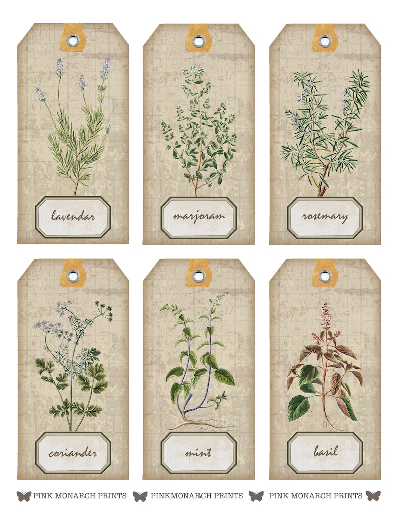 May include: Six vintage-style gift tags with illustrations of herbs. The tags are beige with a grid pattern and have a brown string attached. The herbs are lavender, marjoram, rosemary, coriander, mint, and basil. Each tag has the name of the herb printed below the illustration.