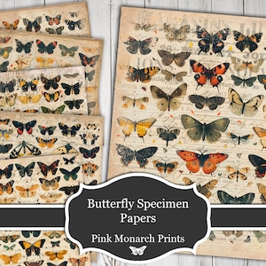 Schmetterling Muster Papiere, Vintage, Digital, Printable, Junk Journal Papiere, Scrapbook Papiere, Junk Journal Zubehör, Junk Journal Butterly