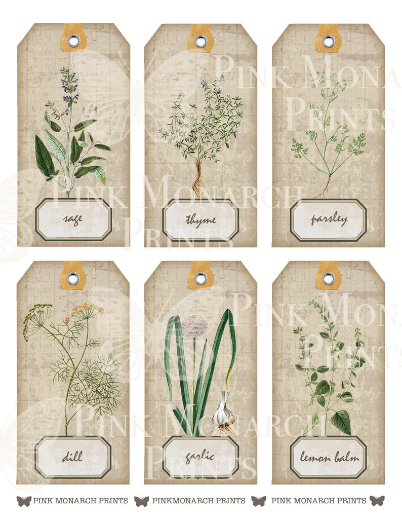May include: Six vintage-style gift tags with illustrations of herbs and spices. The tags are beige with brown text and feature the names of the herbs: sage, thyme, parsley, dill, garlic, and lemon balm.