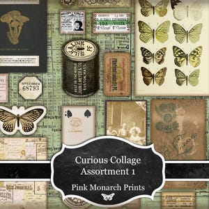 Peut inclure: Un collage vintage avec des papillons, des billets anciens, et une boîte métallique. Le texte indique "Curious Collage Assortment 1 Pink Monarch Prints". L'ensemble évoque un style rétro.