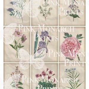 May include: Nine vintage botanical illustrations of flowers on a textured beige background. The flowers include a purple iris, a pink peony, a white flower with green leaves, a purple flower with green leaves, a pink flower with green leaves, a blue flower with green leaves, a pink flower with green leaves, a white flower with green leaves, and a pink flower with green leaves.
