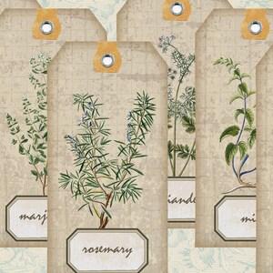 May include: Set of six vintage-style gift tags featuring illustrations of different herbs. The tags are beige with brown grid patterns and have a hole punched at the top. The herbs are labeled "lavender", "marjoram", "rosemary", "cilantro", "mint", and "basil".