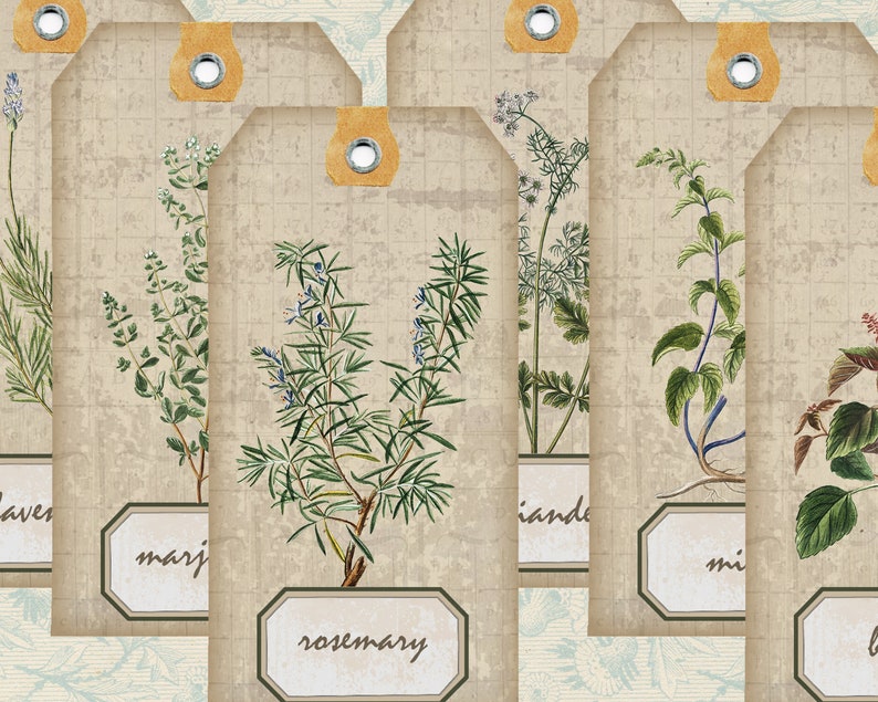 May include: Set of six vintage-style gift tags featuring illustrations of different herbs. The tags are beige with brown grid patterns and have a hole punched at the top. The herbs are labeled "lavender", "marjoram", "rosemary", "cilantro", "mint", and "basil".