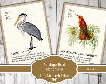 Vintage Bird Ephemera, Digital, Vintage, Bird Ephemera, Tarjetas de pájaros, Etiquetas de diario, Ephemera de diario basura, Suministros de diario basura, Ephemera