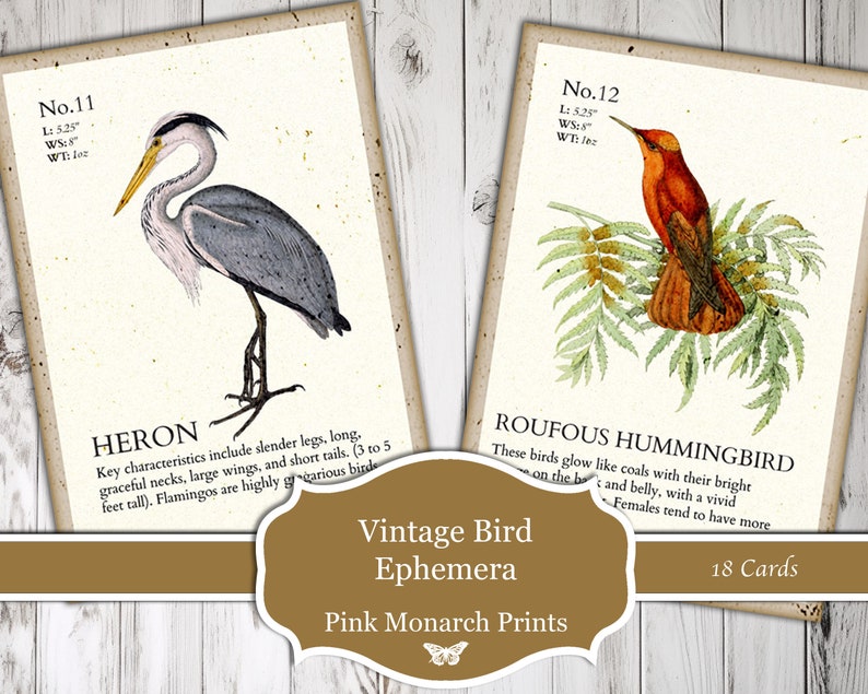 Vintage Bird Ephemera, Digital, Vintage, Bird Ephemera, Bird Cards, Journal Tags, Junk Journaling Ephemera, Junk Journal Supplies, Ephemera image 1