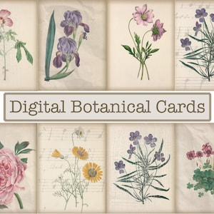 May include: Digital printable cards featuring vintage botanical illustrations of flowers. The cards feature a pink hibiscus, purple iris, pink cosmos, purple violets, a pink peony, yellow daisies, purple violets, and pink flowers with green leaves.