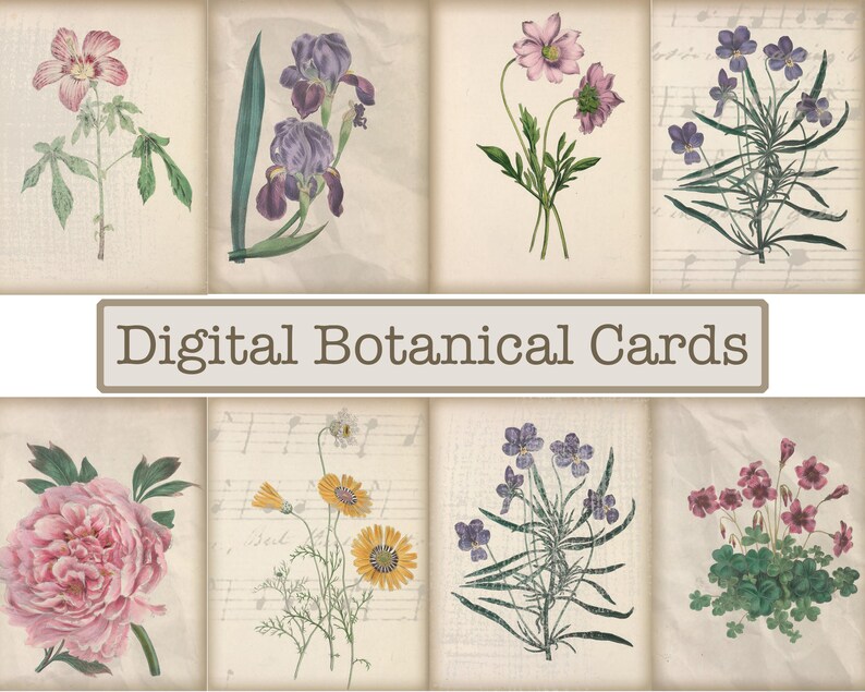 May include: Digital printable cards featuring vintage botanical illustrations of flowers. The cards feature a pink hibiscus, purple iris, pink cosmos, purple violets, a pink peony, yellow daisies, purple violets, and pink flowers with green leaves.