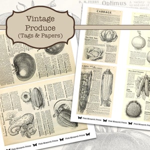 Puede incluir: Ilustraciones vintage en blanco y negro de diversos productos, incluyendo tomates, pepinos, calabac&iacute;n, ma&iacute;z, col, cebollas y guisantes. Las im&aacute;genes son de antiguos cat&aacute;logos de semillas y tienen texto que describe las diferentes variedades de productos.