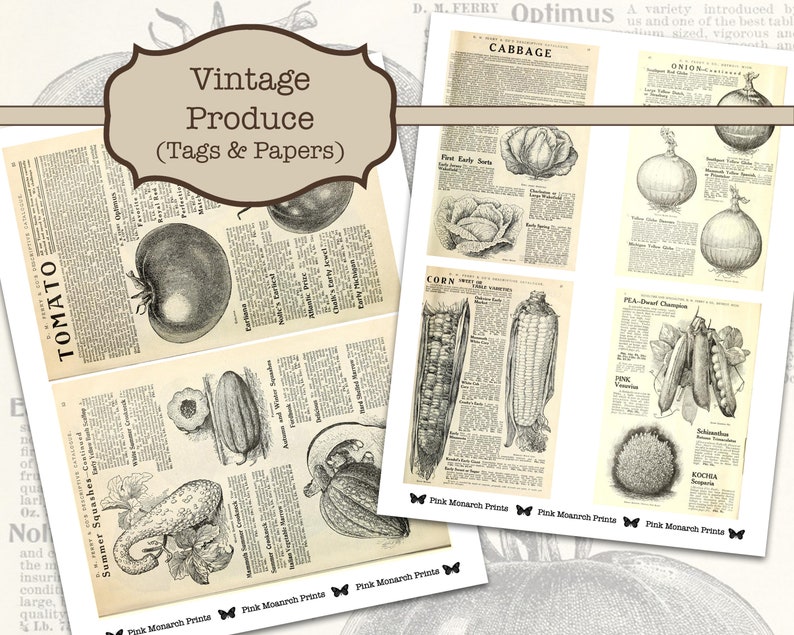 Puede incluir: Ilustraciones vintage en blanco y negro de diversos productos, incluyendo tomates, pepinos, calabac&iacute;n, ma&iacute;z, col, cebollas y guisantes. Las im&aacute;genes son de antiguos cat&aacute;logos de semillas y tienen texto que describe las diferentes variedades de productos.