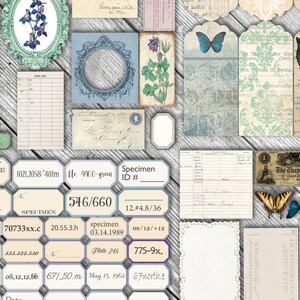 May include: A collection of vintage ephemera, including a blue butterfly, a blue and white floral design, a bank note, and a handwritten note. The ephemera is arranged on a light wood background. The text on the bank note reads "The Thames Bank".