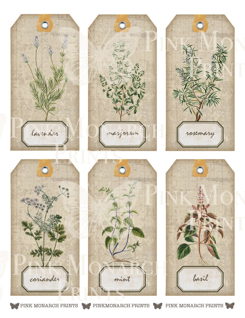 May include: Six vintage-style gift tags featuring illustrations of herbs. The tags are beige with a brown grid pattern and have a brown string loop at the top. The herbs are lavender, marjoram, rosemary, coriander, mint, and basil. Each tag has the name of the herb printed in a brown rectangle at the bottom.