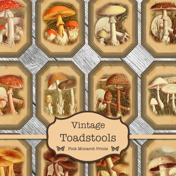 Printable Mushrooms, Toadstool and Mushroom Ephemera, Junk Journal Kit, Vintage Toadstools, Mushrooms Printable, Toadstool Images, Embellish