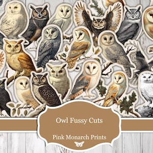 Owl Fussy Cuts, Bird Fussy Cut, Bird Junk Journal, Owl Junk Journal, Bird Digital, Bird Junk Journaling, Owl Ephemera, Printable, Digital