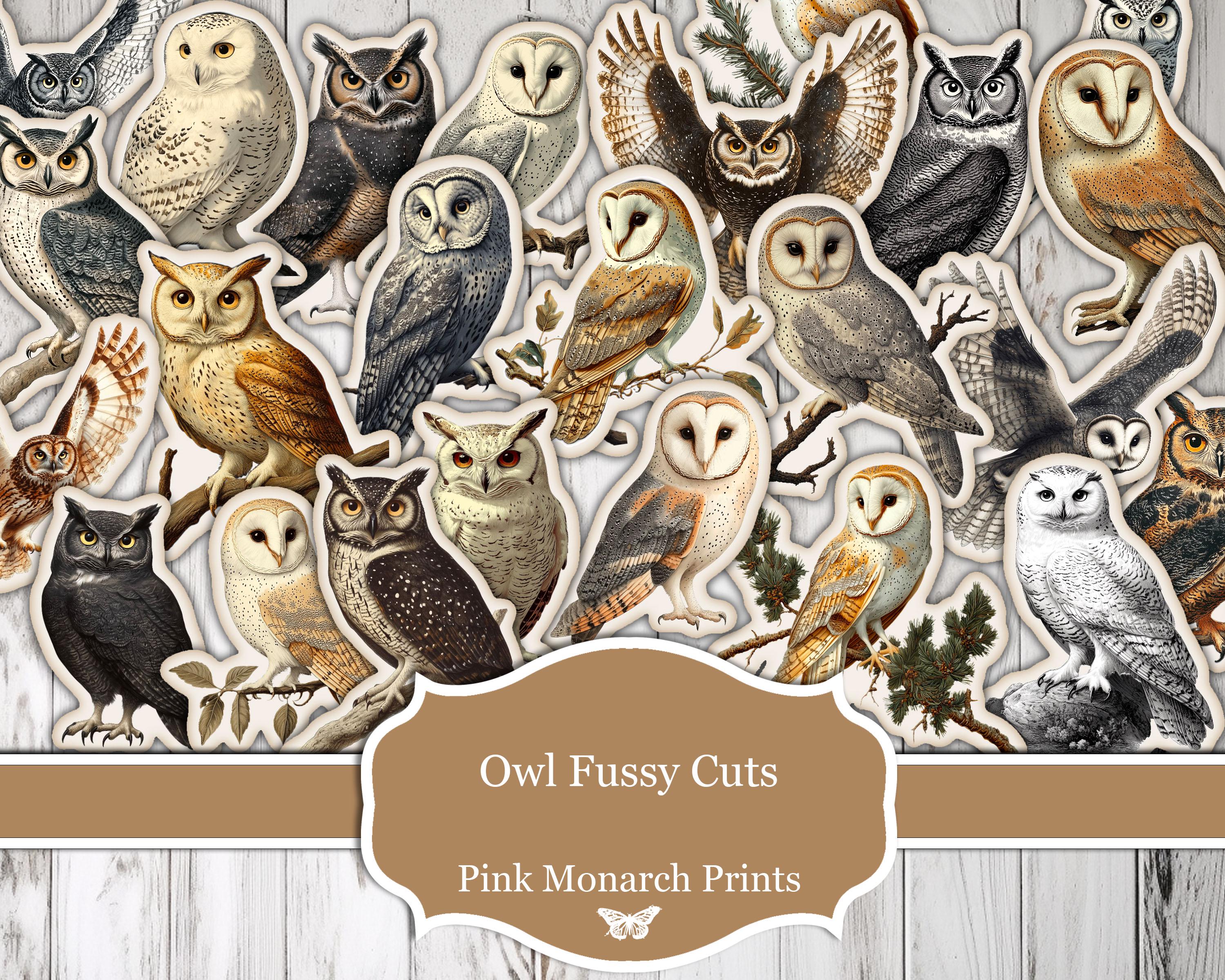 Owl Fussy Cuts, Bird Fussy Cut, Bird Junk Journal, Owl Junk Journal, Bird Digital, Bird Junk Journal