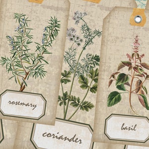 May include: Four vintage-style gift tags with illustrations of herbs. The tags are beige with a grid pattern and feature the names "rosemary", "coriander", "basil", and an unreadable name.