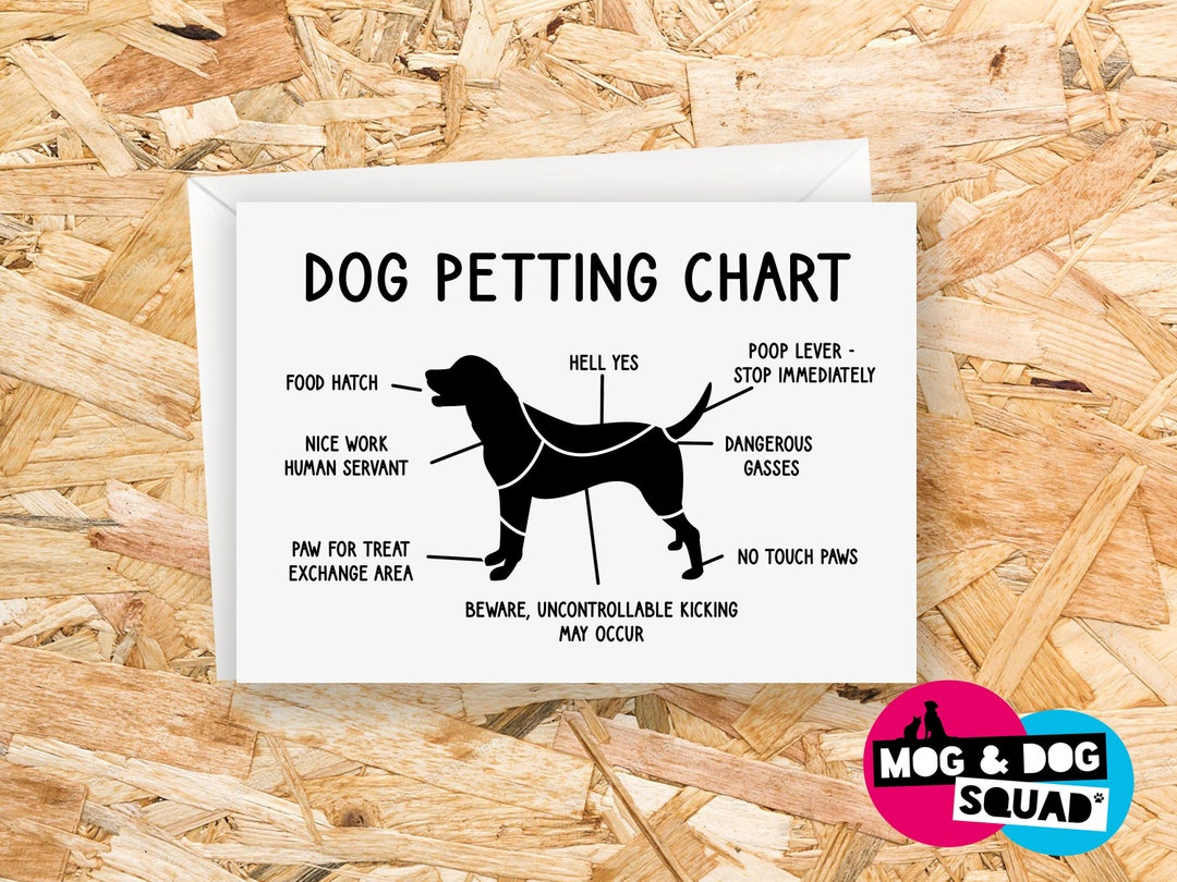Funny Dog Card Petting Chart Dog Lover Dog Birthday Card Card From the