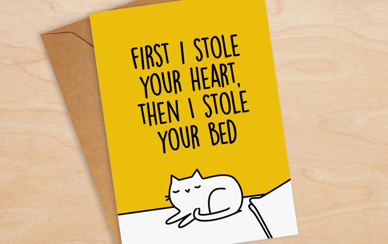 I Stole Your Heart Cat Valentines Card Funny Valentines Day Card Valentines Card Wife Valentines Card Husband image 1