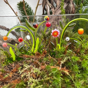 Staande vaas foto bloemenweide NIEUW afbeelding 5