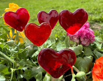 Spina per fiori a cuore -resistente al gelo-