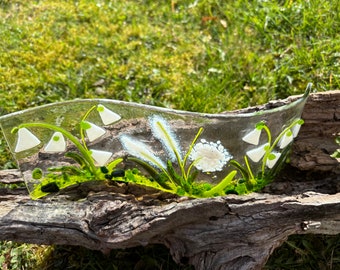 Standbild weiße Blumenvielfalt