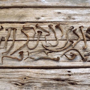 May include: A collection of rusty, bent nails with hooked ends. The nails are arranged on a wooden surface.