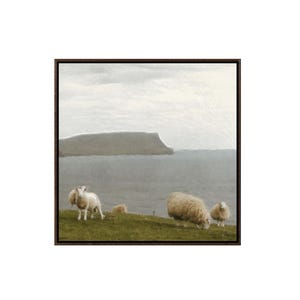 Oversized Framed Scottish Highland Sheep Wall Art | Oil Painting Print | Living Room Wall Art | Canvas Wall Art | Isle of Skye, Scotland