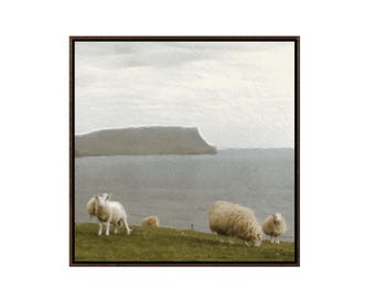 Framed Highland Sheep Canvas Print | Isle of Skye Wall Art