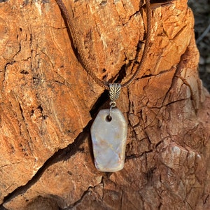 Petrified Wood Necklace