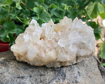 Arkansas Clear Quartz Crystal Cluster: Hand Mined Zen Decor (10.7oz, 4x3x1.5in)