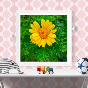 May include: A framed photograph of a single yellow daisy with a bright yellow centre, surrounded by green leaves. The photo is displayed on a white shelf with a striped stuffed animal and a toy train.