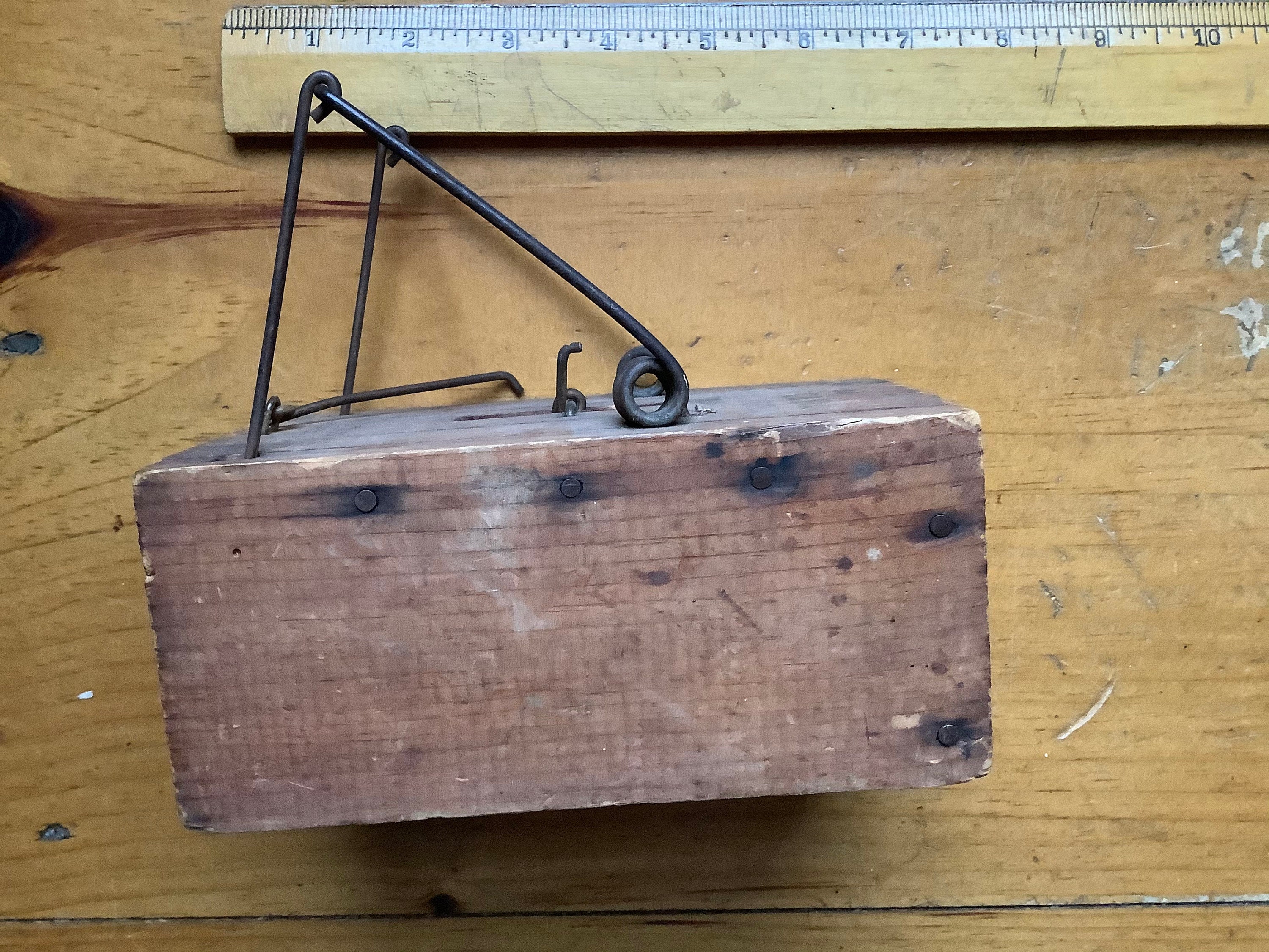 Antique California Pocket Gopher Trap 1900 by Animal Trap Co. Etsy