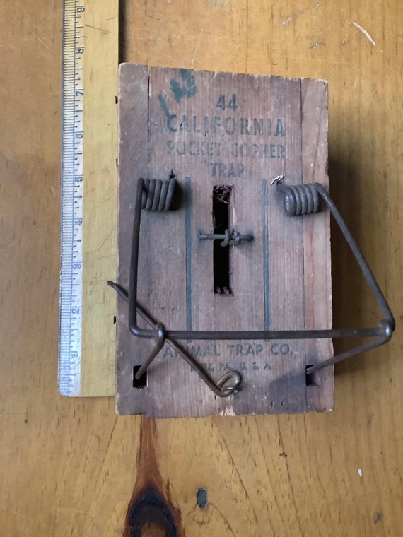 Antique California Pocket Gopher Trap 1900 by Animal Trap Co. Etsy