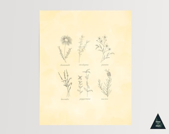 Vintage Botanical Print | Herbal Line Art, Cottagecore Kitchen Decor