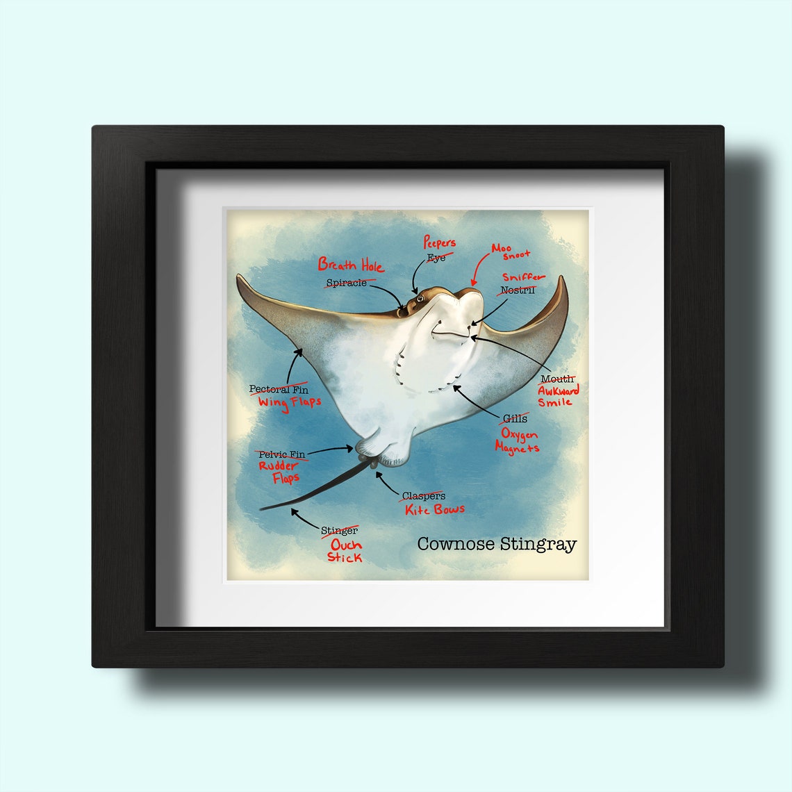Anatomy of a Sting Ray - Etsy