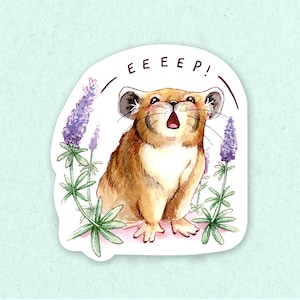 Pika Squeak Aufkleber