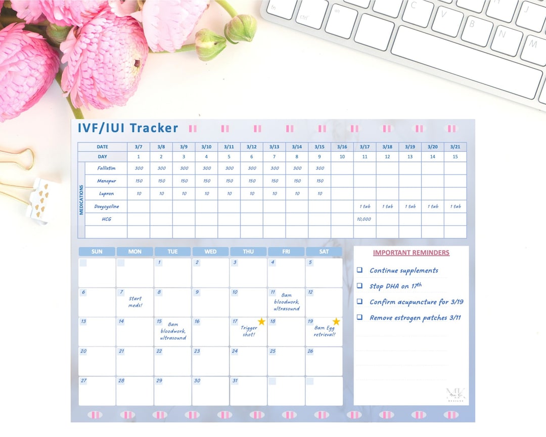 Full Iui Report.pdf IVF/IUI/TTC Printable Planner, Medication Tracker, Conception Organizer ...
