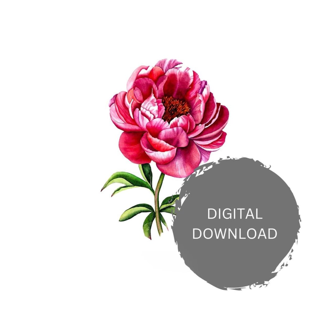Printable Peony Art Instant Download Digital Print Home Decor Interior Design Printable ...