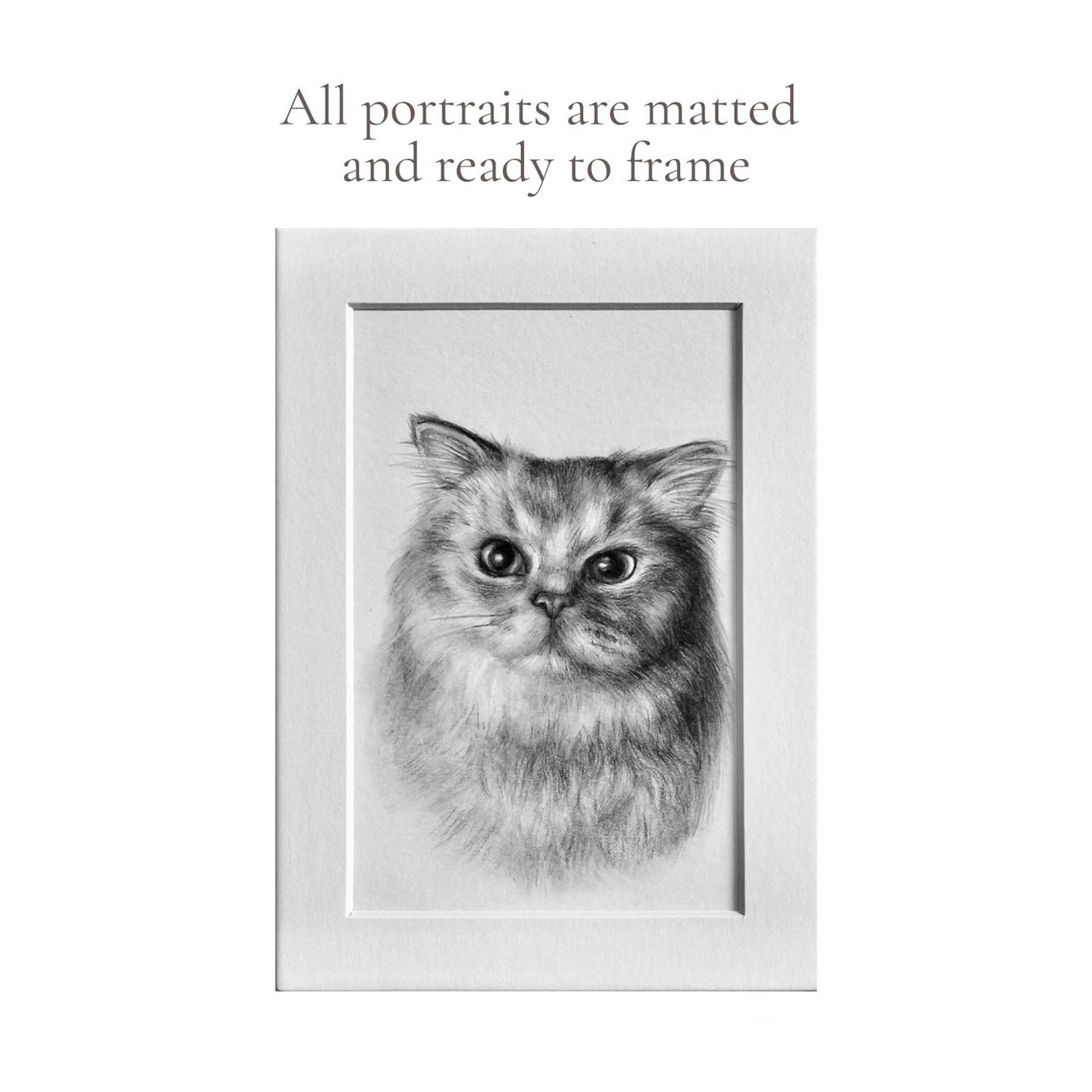 Custom Pet Portrait Hand Drawn From Photo Pencil Drawing - Etsy
