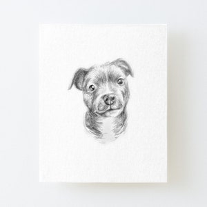 Pitbull Print | Graphite Pencil | Digital Pitbull Art | Pit Bull Poster | Pit Bull Decor | Printable Pit Bull Art | Pitbull Puppy Download