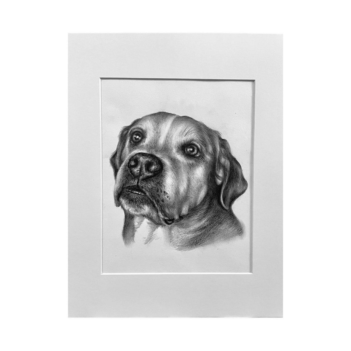 Custom Pet Portrait Hand Drawn From Photo Pencil Drawing Etsy