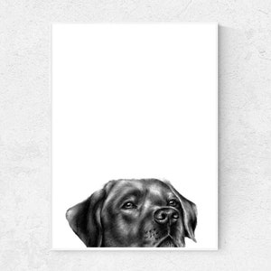 Labrador Print | Graphitstift | Digitale Labrador Kunst | Labrador Poster | Labrador Dekor | Druckbare Black Lab Art | Digital Lab Download