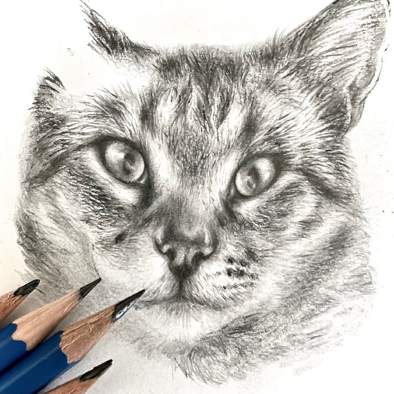 Custom Pet Portrait Hand Drawn From Photo Pencil Drawing Etsy