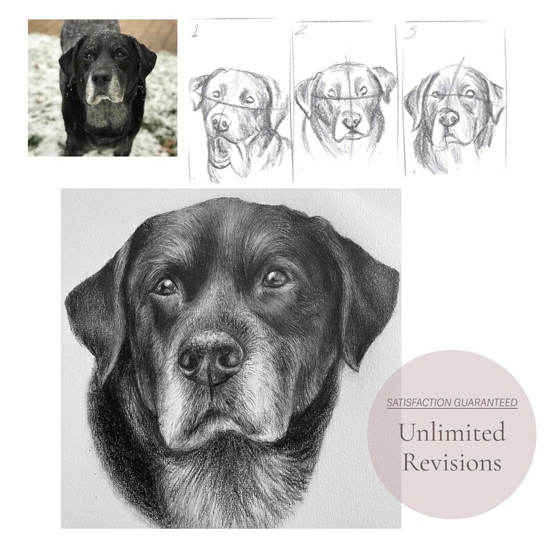 Custom Pet Portrait Hand Drawn From Photo Pencil Drawing - Etsy