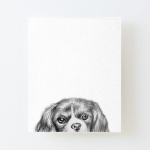 Cavalier King Charles Print | Graphite Pencil | Digital Cavalier Art | King Charles Poster | Spaniel | Printable Cavalier Art | Download