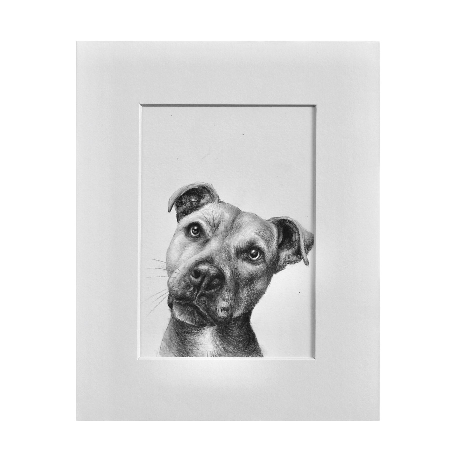 Custom Pet Portrait Hand Drawn From Photo Pencil Drawing Etsy