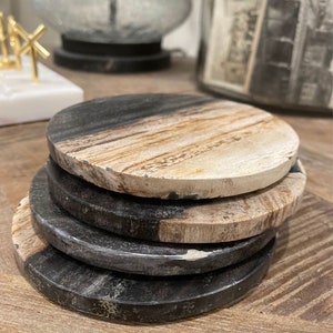 Petrified Wood Coasters (Set of 4)