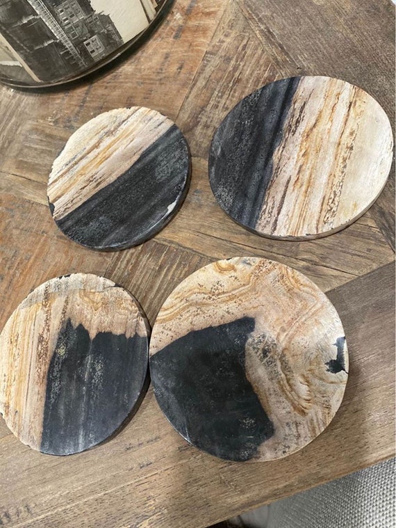 Petrified Wood Drink Coasters (Set of 4)