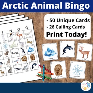 Bingo de animales del Ártico para imprimir: 50 tarjetas de bingo de animales del Ártico únicas, juego de animales de invierno, juego para imprimir, juego de BINGO, fiesta de invierno